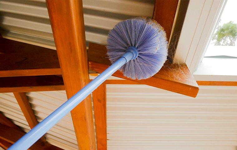 pest expert dewebbing the exterior of home