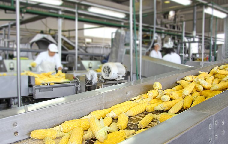 interior of a food processing facility in west haven connecticut