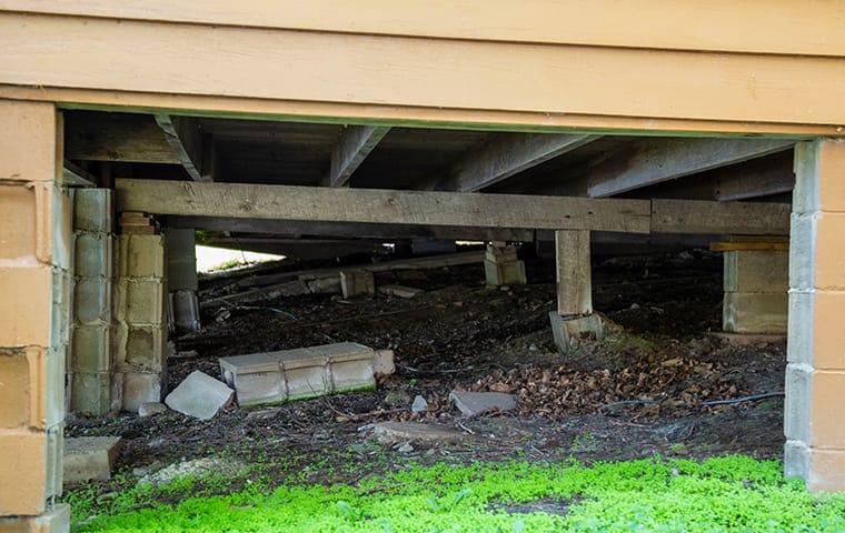 an open residential crawl space damaged by rodents on the queen creek arizona area