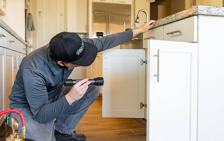 Our Process Starts With A Thorough Inspection an all clear pest control technician inspecting inside of a mesa arizona home