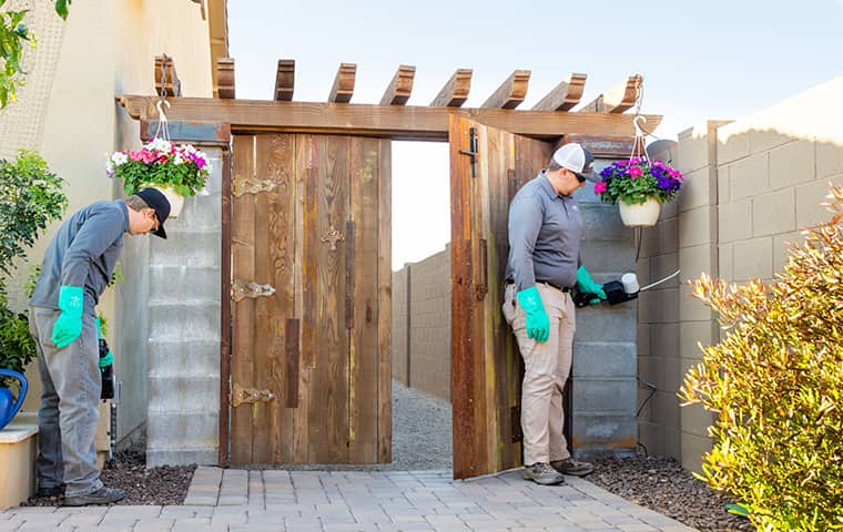 All Clear Has A Variety Of Scorpion Control Options two all clear pest control technicians inspecting for scorpions outside of a phoenix arizona home