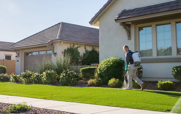 All Clear Will Devise A Custom Pest Treatment Plan an all clear pest control technician servicing outside a gilbert arizona home
