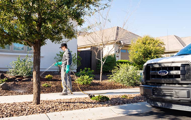 Contact Us For A Quote On Our Weed Control Service an all clear pest control service technician treating a home in phoenix arizona for weeds