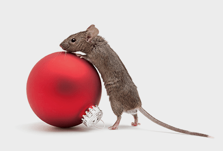mouse next to holiday decoration