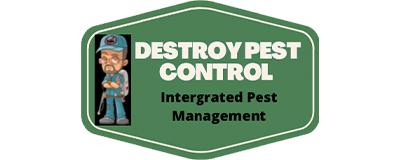 Pest Control Colchester