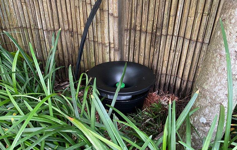 Learn More About In2Care® Mosquito Control fence and grass in yard with in2care trap