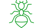 Home Pest Control green ant control icon