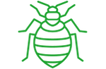 Bed Bug Control a green bed bug icon