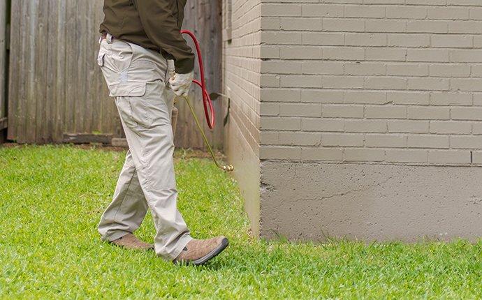 pest control technician treating for ants around home