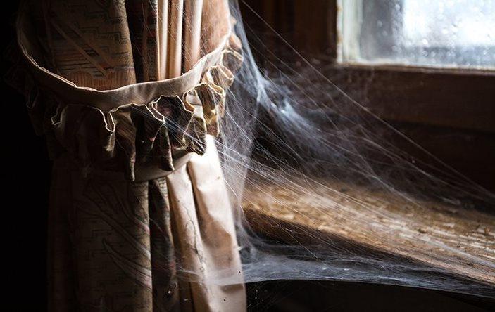 Spider webs on a window sill.