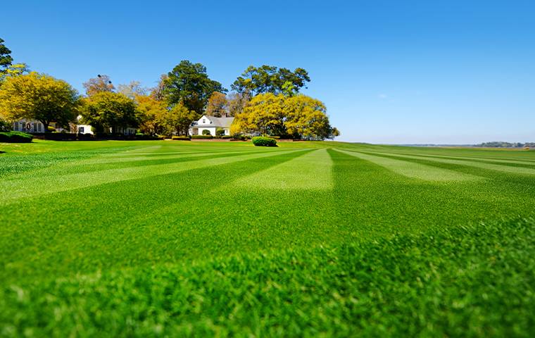 home with large mowed lawn