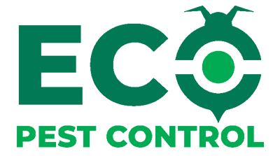 Pest Control Essex