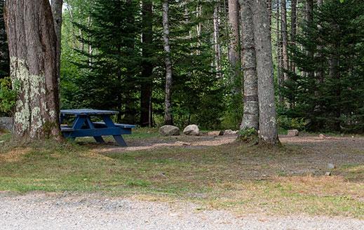 Picnic Area For Camping Sites picnic table area for smuggler's den tenting sites