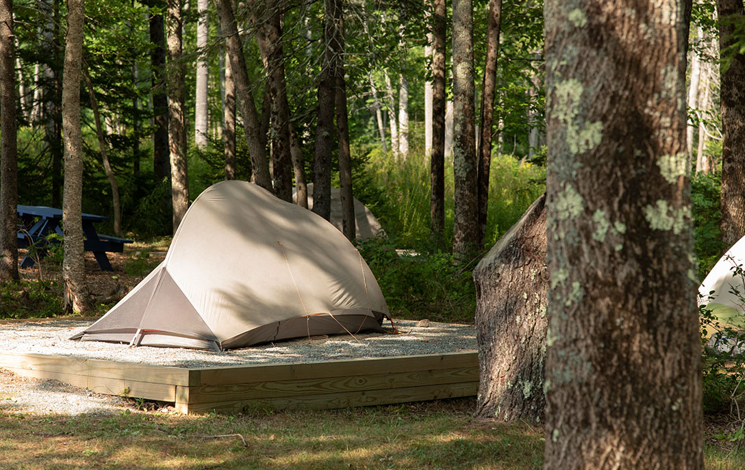 tenting near acadia national park