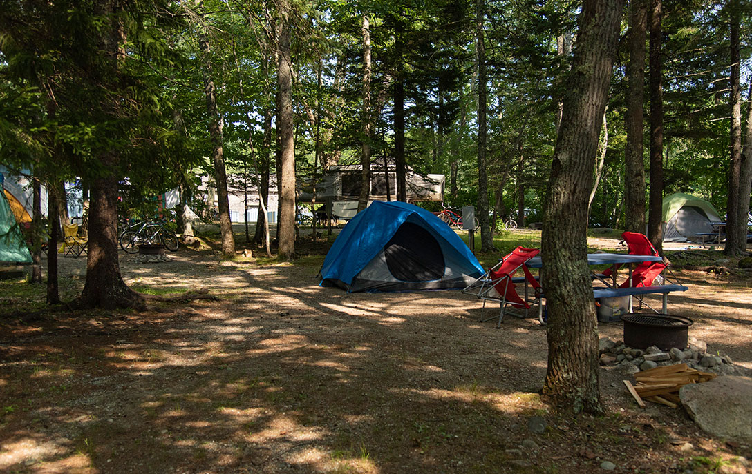 Scenes From A Campground Near Acadia National Park