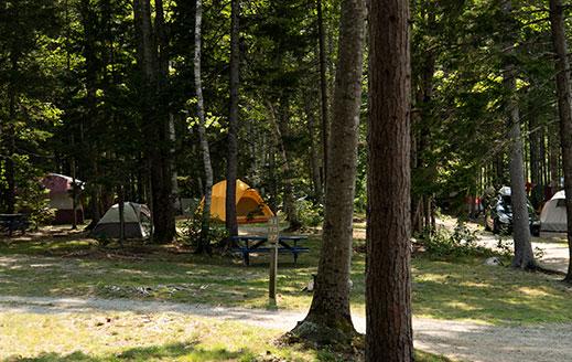 Tent Campsites At Smuggler's tent camping near acadia national park
