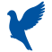 pigeon icon