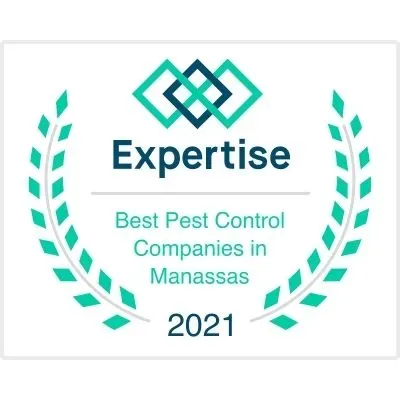 Miche Pest Control is one of the Best Pest Control Companies is Manassas in 2021 Miche Pest Control is one of the Best Pest Control Companies is Manassas in 2021