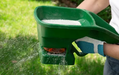 insect killing granules in a hand spreader