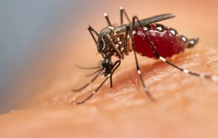 Miche Pest Control sprays yards in Rockville MD for mosquitoes, ticks, and fleas Miche Pest Control sprays yards in Rockville MD for mosquitoes, ticks, and fleas