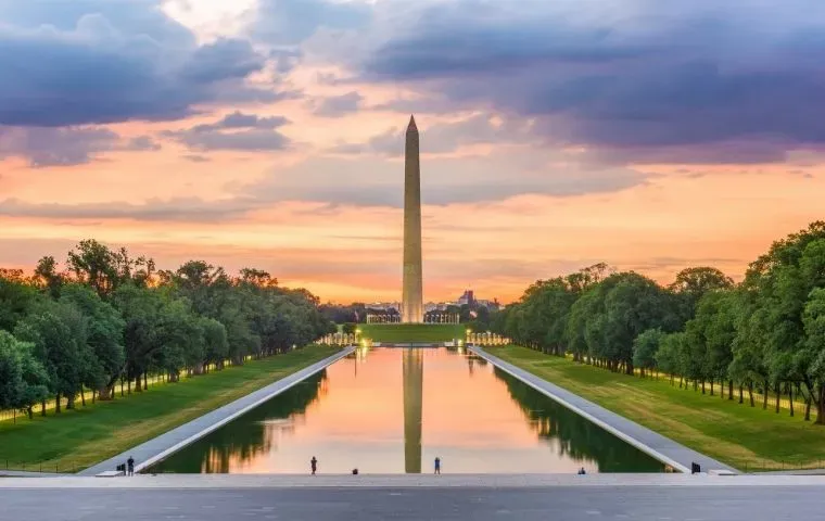 Miche Pest Control is a full service pest control company serving Washington DC and surrounding areas Pest Control in Washington DC