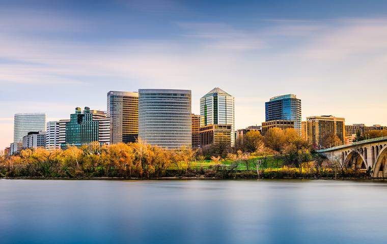 pest control in northern virginia, maryland & washington DC pest control in northern virginia, maryland & washington DC