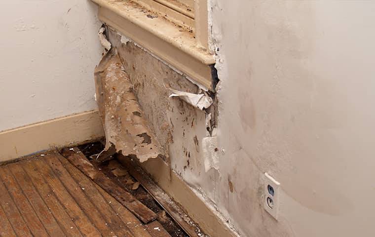moisture damage on a wall
