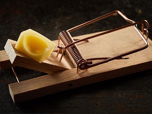 See Why Mouse Traps & Other DIY Rodent Control Methods Are Ineffective mouse trap inside a new jersey kitchen not catching mice