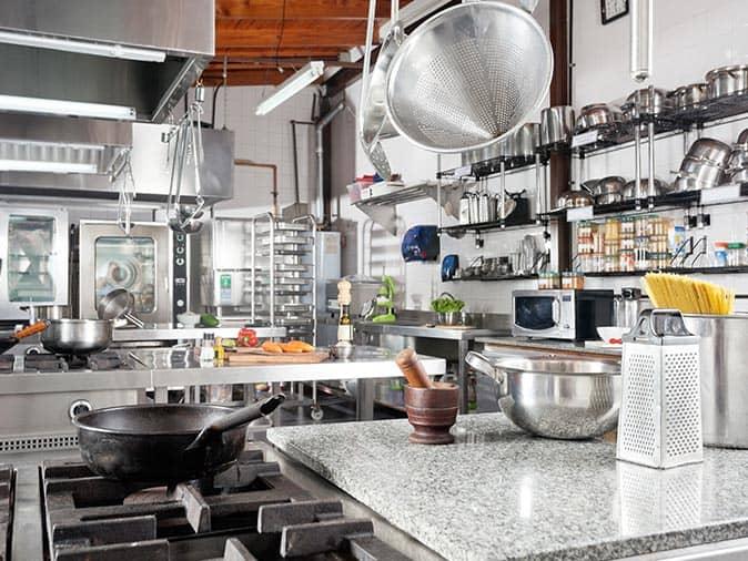 Find Out How You Can Keep Your New Jersey Business Pest Free professional protected nj kitchen from pests