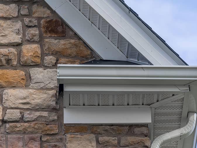 nj homeowners must pay attention to roofline in order to keep pests out