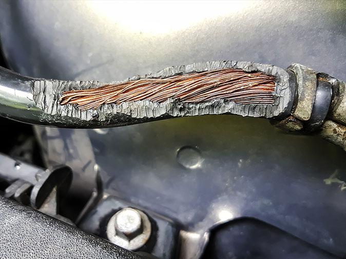 mouse damage to a brake line on car cause by gnawing