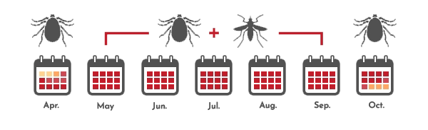 When Arrow Pest Control Treats For Mosquitoes & Ticks In NJ mosquito and tick treatment schedule from arrow pest control