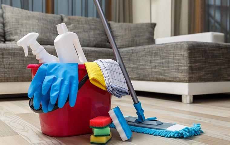 spring cleaning for pest prevention