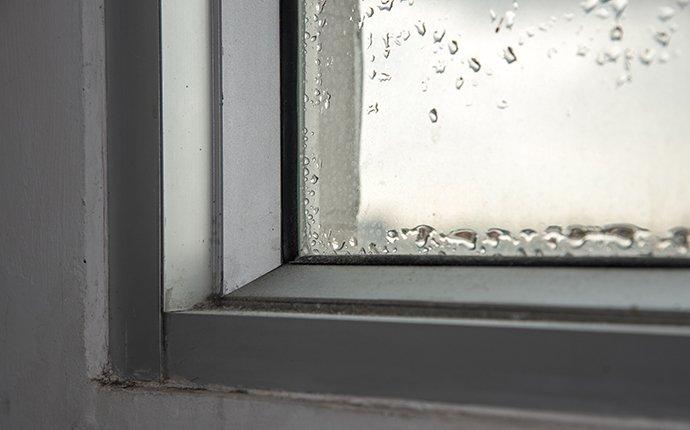 moisture control water drops on window