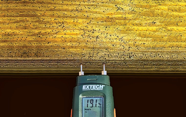 gauge measuring moisture