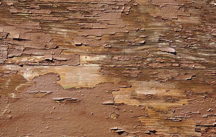 wood and paint damaged by moisture