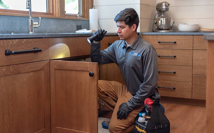 Learn More About SiteCare Home Pest Control central washington home protected by home pest control plan