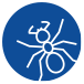 Blogs About Ants In Washington ant logo