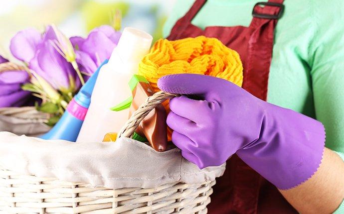 a spring cleaning pest prevention basket