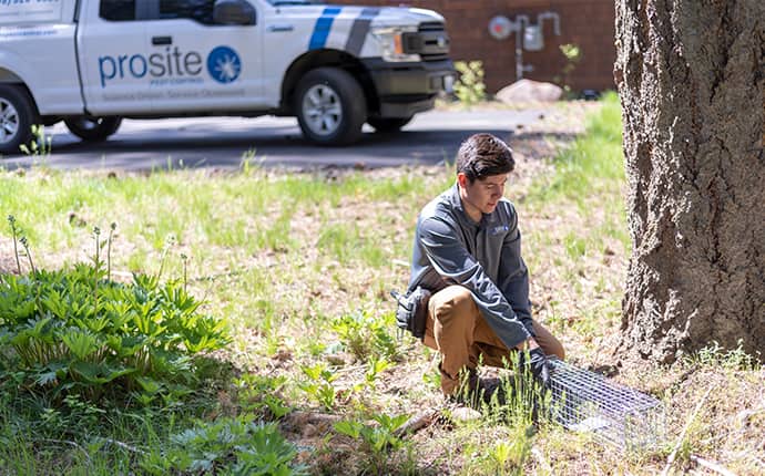 Keep Pests Off Your Washington Residential Property a prosite pest control service expert performing pest exclusion services outside of a home in central washington