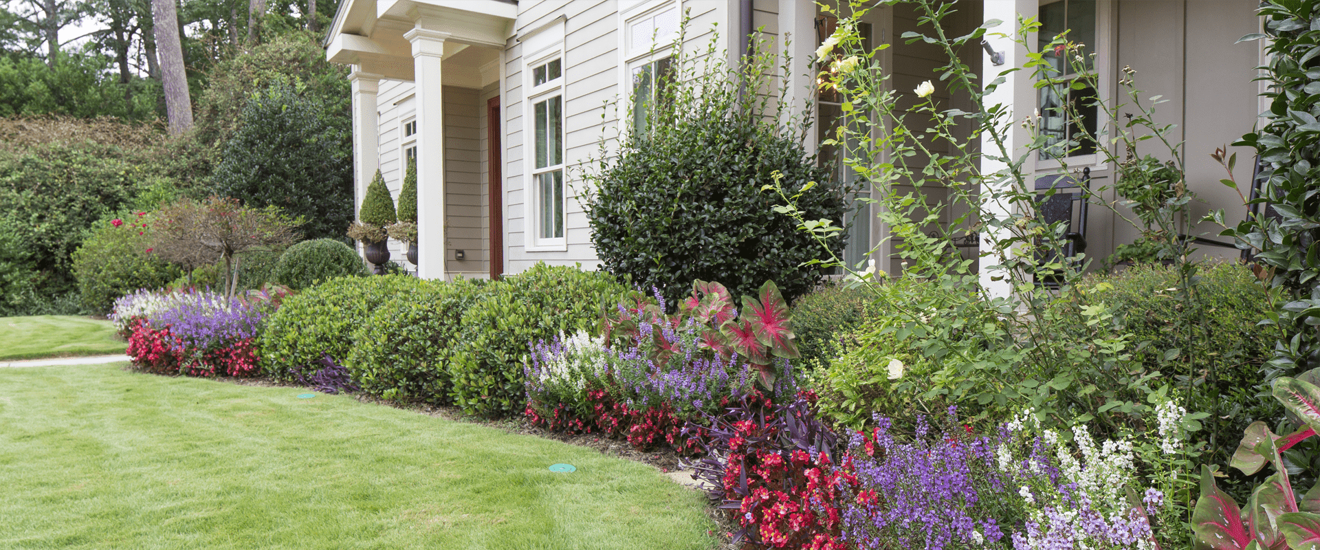front yard of washington home with bushes