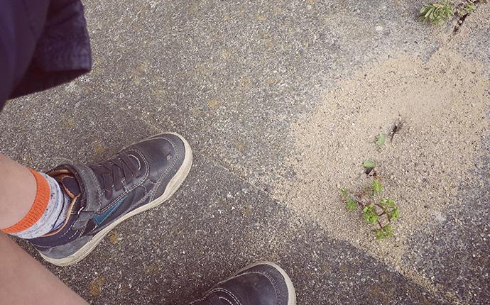 a persons feet in front of a pavement ant nest