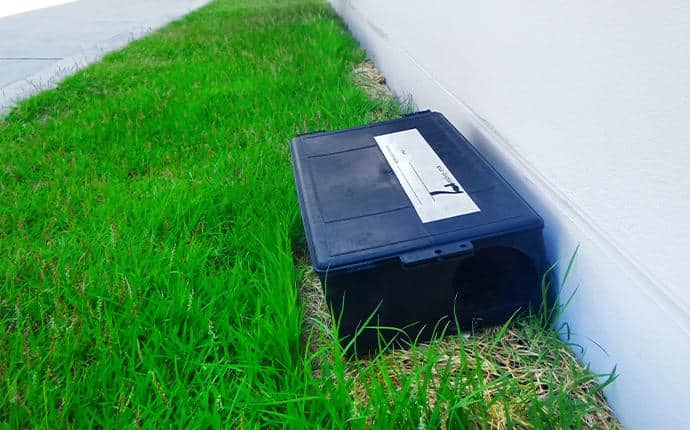 We Provide Comprehensive Rodent Control Using A Variety Of Methods a rodent trap on the exterior of a washington home