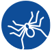 Blogs About Spiders In Central Washington spider blog icon