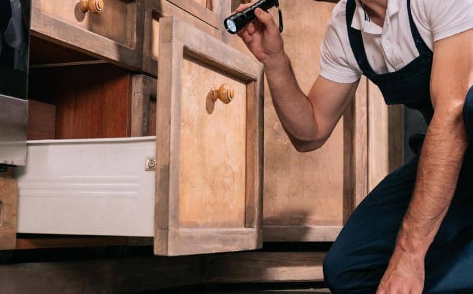 We Offer Inspections Prior To All Services a prosite technician inspecting a yakima washington home for spiders