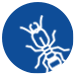 Blogs About Termites In Washington termite blog logo