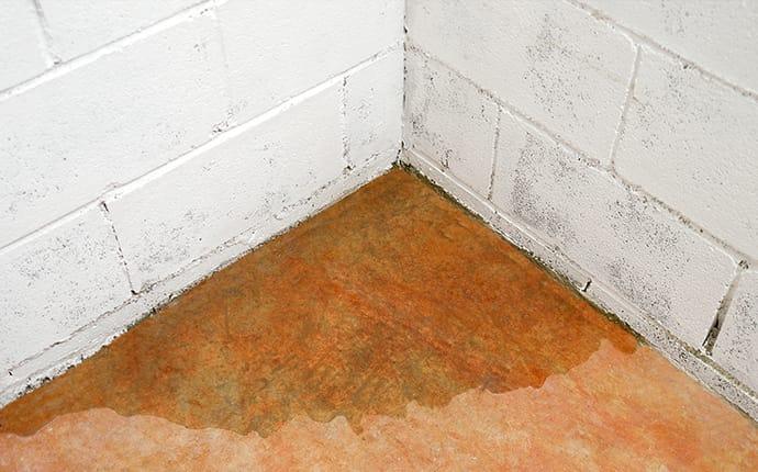 evidence of moister damage in a mississippi residential basement