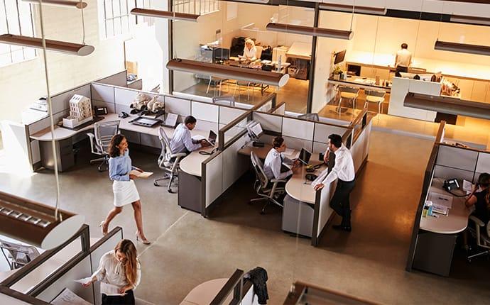 a mississippi corporate office full of employees busy at work unaware of the infestation under their feet