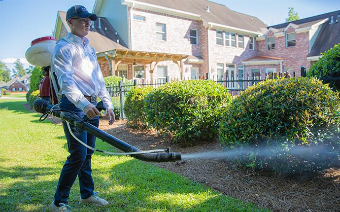 harvard tech treating home for mosquitoes