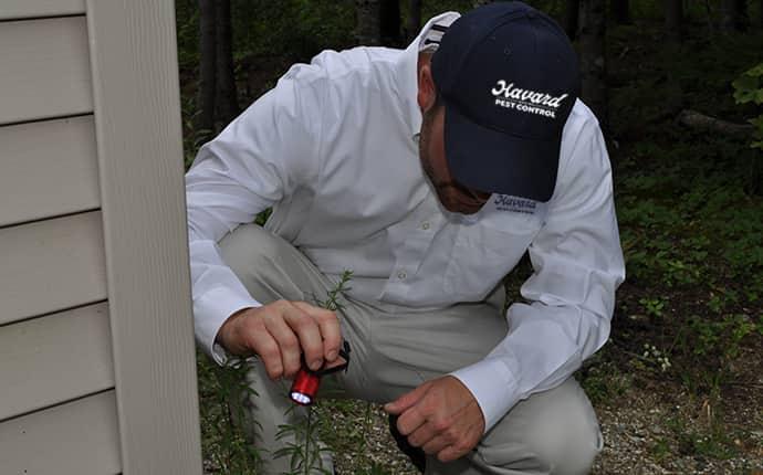 havard pest control technician performing an exterior rodent inspection